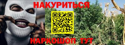 скорость Заводоуковск